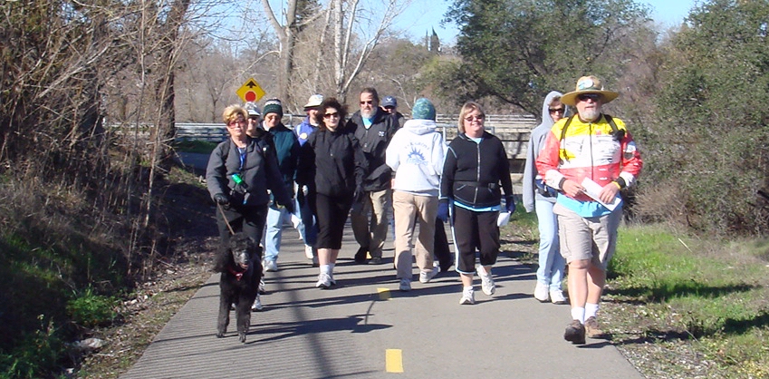 Rose-pp02.jpg (354215 bytes)