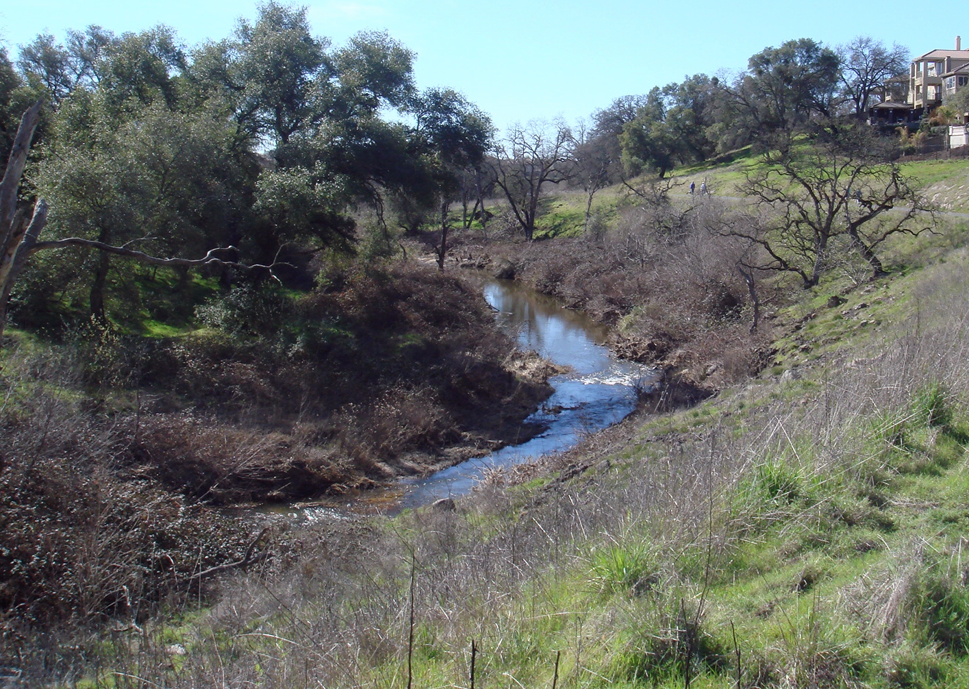 Rose-pp09.jpg (1445422 bytes)